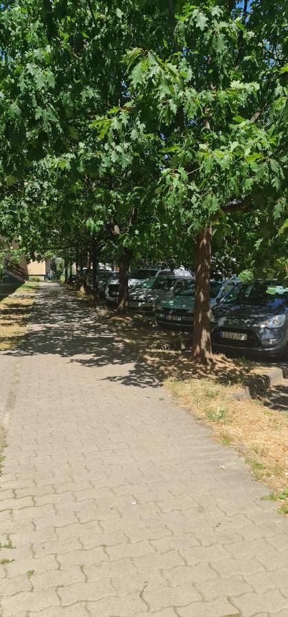 절러에게르세그 Ybs Apartman 아파트 외부 사진